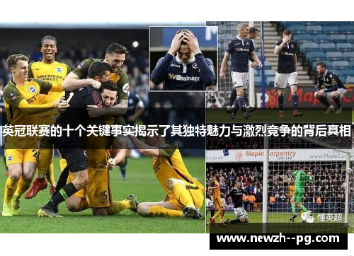 英冠联赛的十个关键事实揭示了其独特魅力与激烈竞争的背后真相 英冠联赛的十个关键事实揭示了其独特魅力与激烈竞争的背后真相